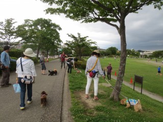 blog_0707-5