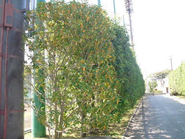 blog_140929-2