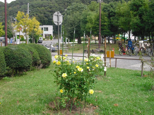 blog_141004-1