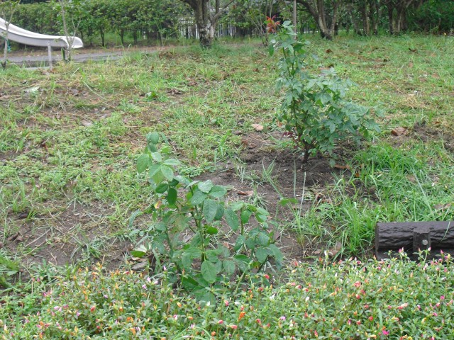 blog_141009-1