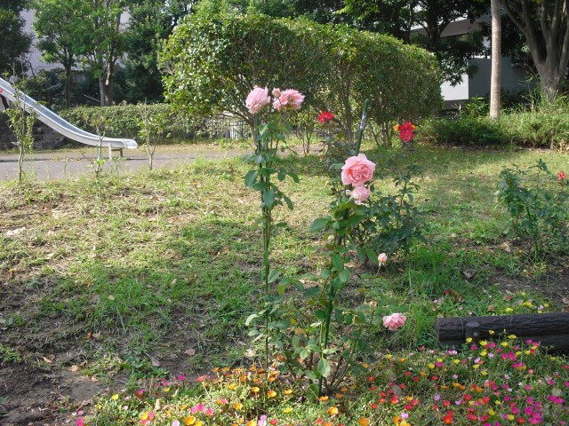 blog_141009-2