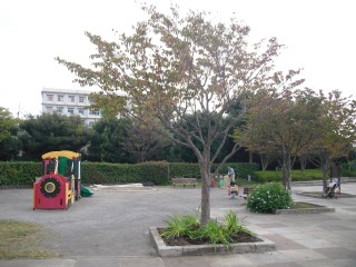 blog_141012-1
