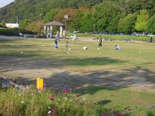 blog_141019-1