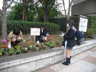 blog_141113-6