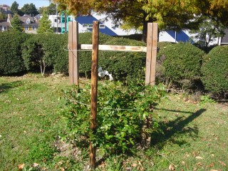 blog_141115-4