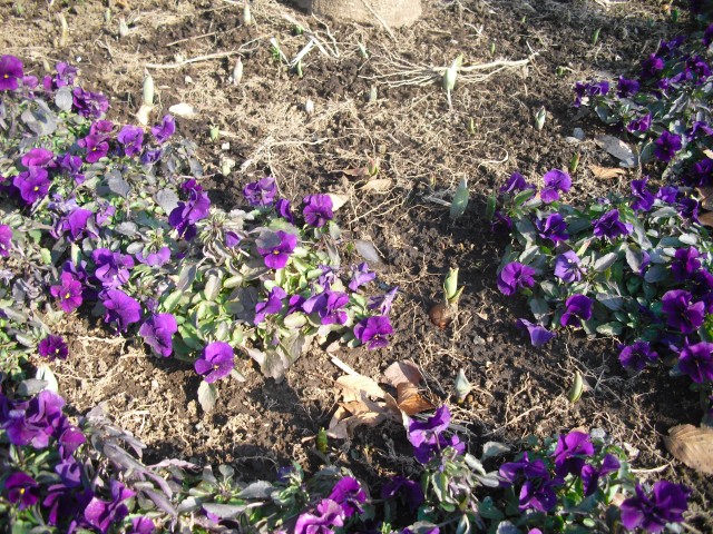 blog_150215-2