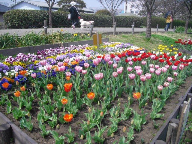 blog_150407-4