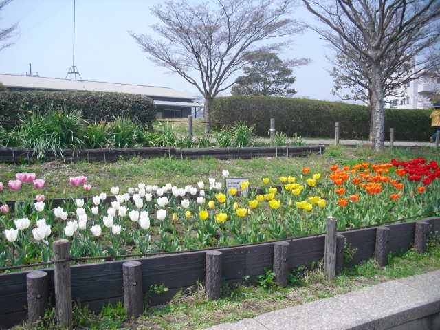 blog_150407-5