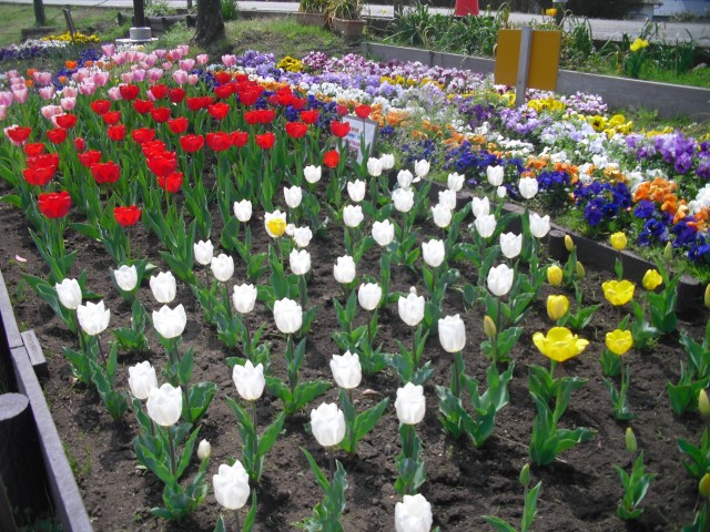 blog_150407-6