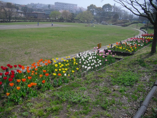 blog_150407-7