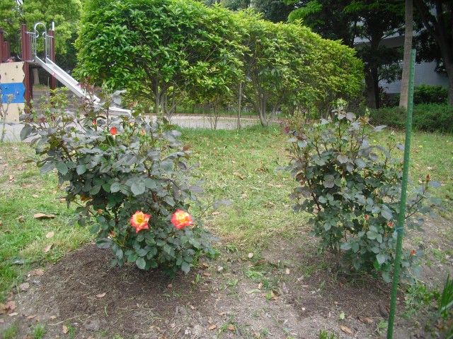 blog_150430-3