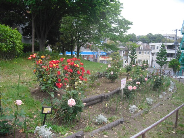 blog_150517-1