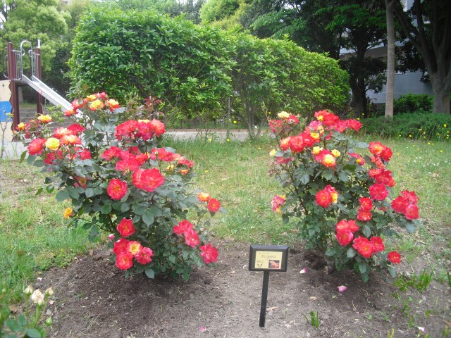 blog_150517-3