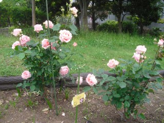 blog_150517-4