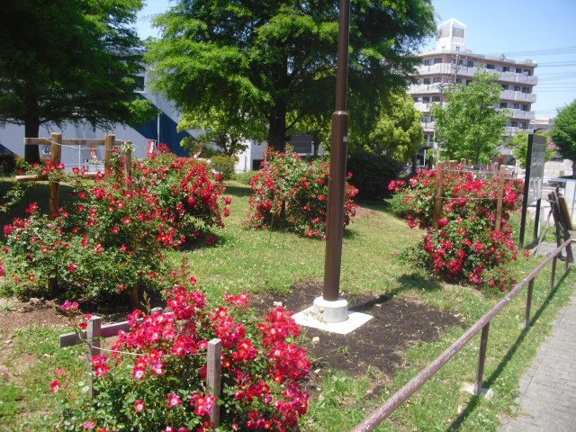 blog_150525-1