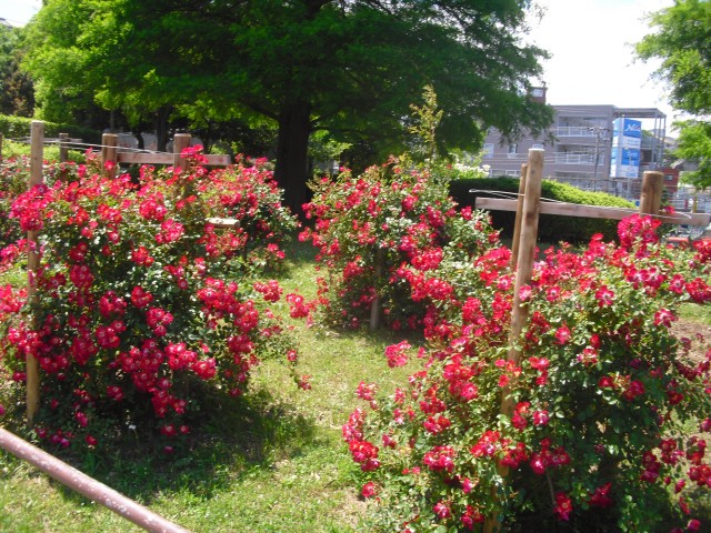 blog_150525-2