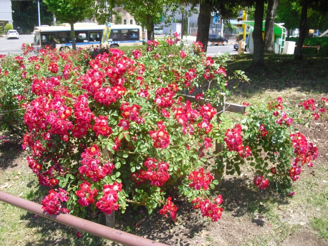 blog_150525-3