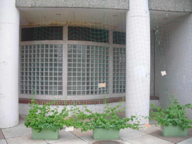 blog_150616-2