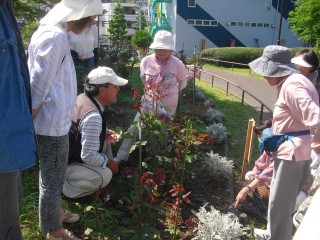 blog_150620-5