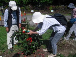 blog_150620-6