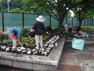blog_150705-3