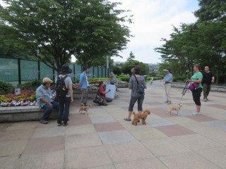 blog_150707-1