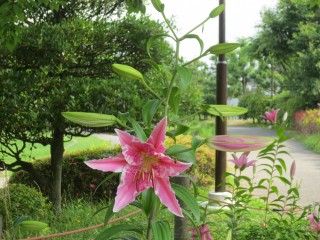blog_150707-1