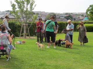 blog_150707-2