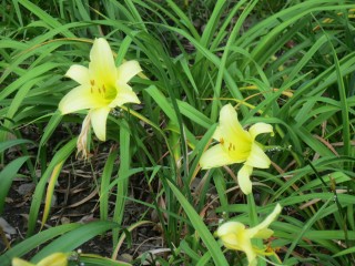 blog_150707-2