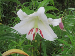 blog_150707-3