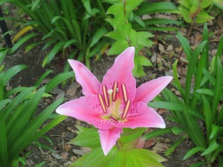 blog_150707-4