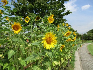 blog_150822-1