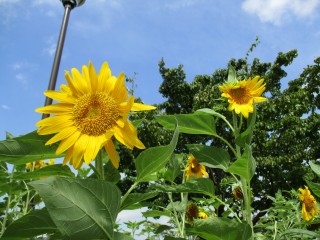 blog_150822-2