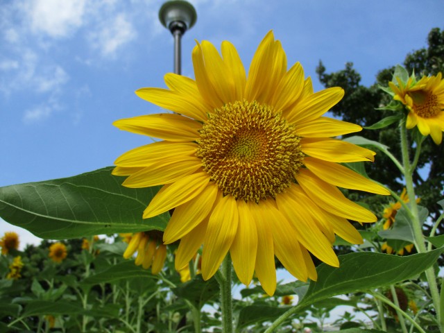 blog_150822-3