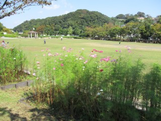 blog_151013-1