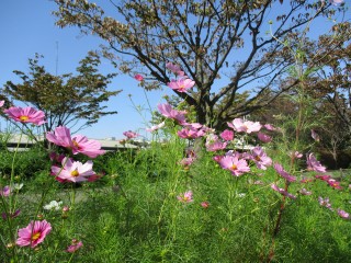 blog_151013-2