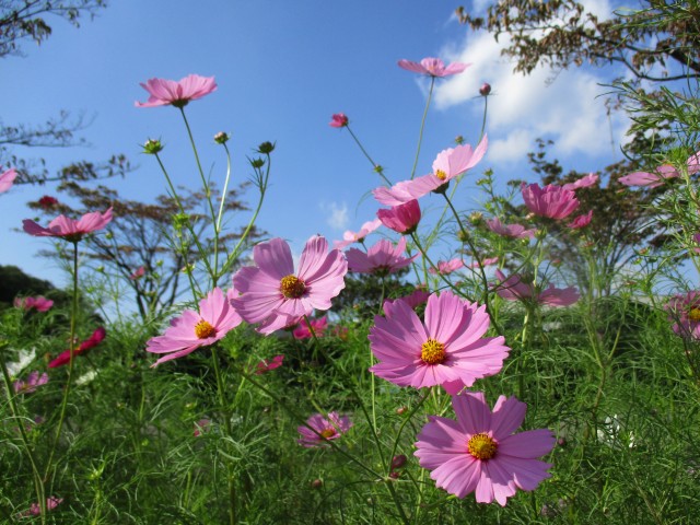 blog_151013-3
