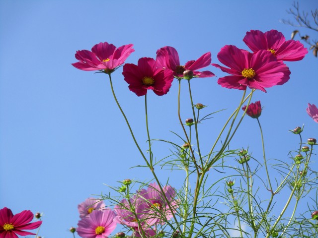 blog_151013-4