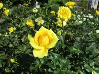 blog_151014-1