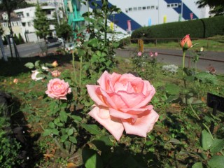 blog_151014-2