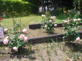 blog_151014-6