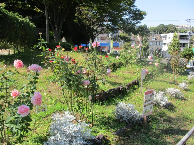 blog_151014-7