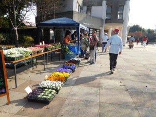 blog_151110-3