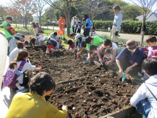 blog_151123-2