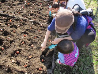 blog_151123-4