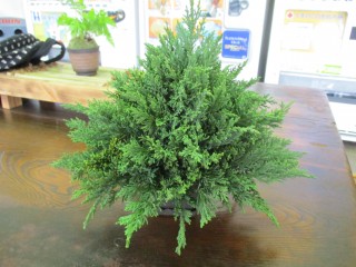 blog_151201-5
