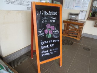 blog_160120-1