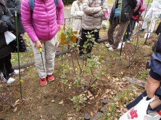 blog_160120-6