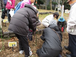 blog_160120-7