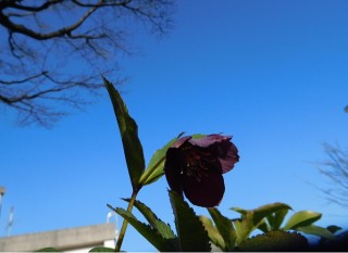 blog_160210_1